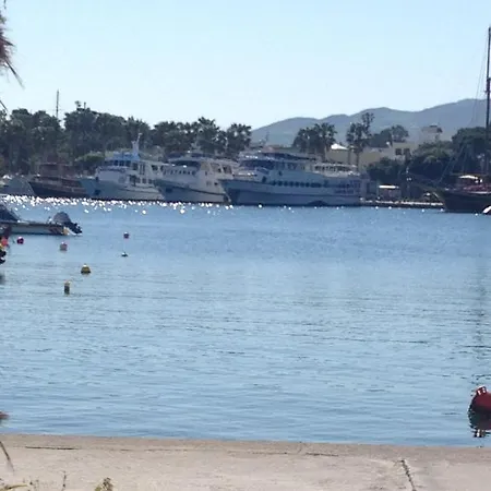 Olympia 2* העיירה קוס